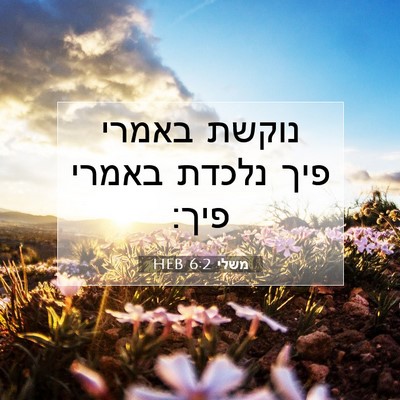 Picture 07 - משלי 6:2 HEB - נוקשת באמרי פיך נלכדת - Bible Verse Picture
