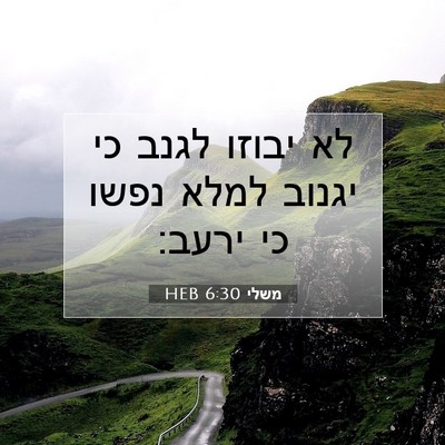 Picture 07 - משלי 6:30 HEB - לא יבוזו לגנב כי יגנוב למלא - Bible Verse Picture