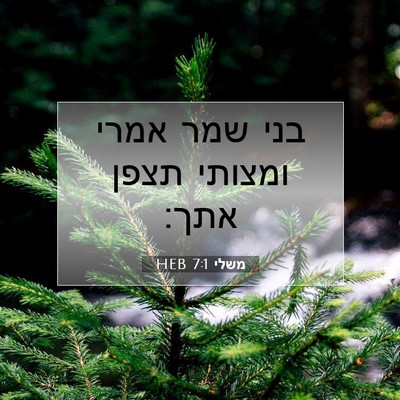 Picture 07 - משלי 7:1 HEB - בני שמר אמרי ומצותי תצפן - Bible Verse Picture