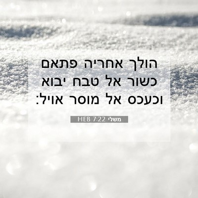 Picture 07 - משלי 7:22 HEB - הולך אחריה פתאם כשור אל טבח - Bible Verse Picture