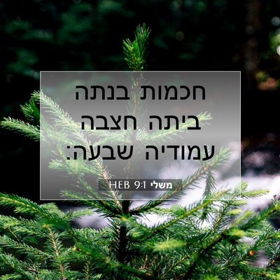 Picture 07 - משלי 9:1 HEB - חכמות בנתה ביתה חצבה - Bible Verse Picture