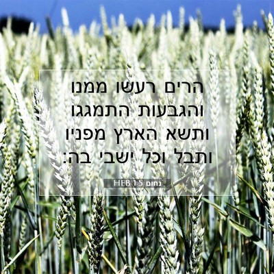 Picture 07 - נחום 1:5 HEB - הרים רעשו ממנו והגבעות - Bible Verse Picture