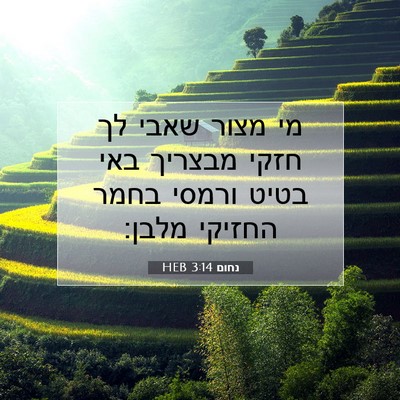 Picture 07 - נחום 3:14 HEB - מי מצור שאבי לך חזקי מבצריך - Bible Verse Picture