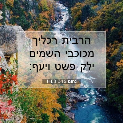 Picture 07 - נחום 3:16 HEB - הרבית רכליך מכוכבי השמים - Bible Verse Picture