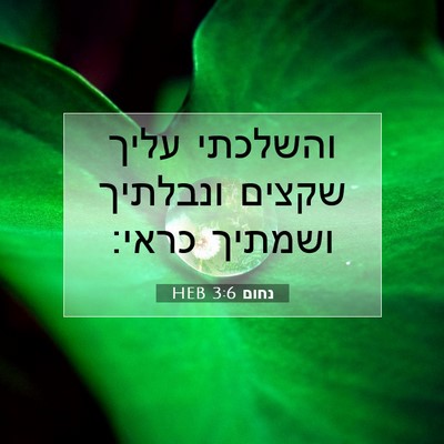 Picture 07 - נחום 3:6 HEB - והשלכתי עליך שקצים ונבלתיך - Bible Verse Picture