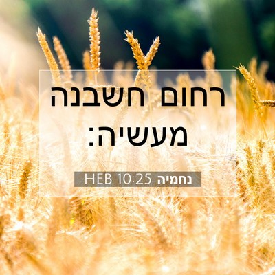 Picture 07 - נחמיה 10:25 HEB - רחום חשבנה - Bible Verse Picture