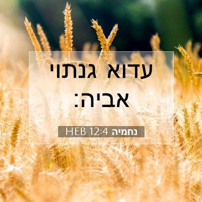 Picture 07 - נחמיה 12:4 HEB - עדוא גנתוי - Bible Verse Picture