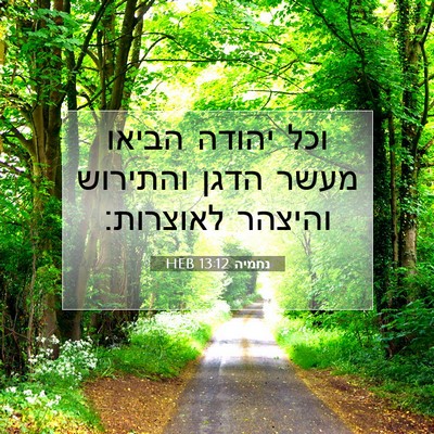 Picture 07 - נחמיה 13:12 HEB - וכל יהודה הביאו מעשר הדגן - Bible Verse Picture