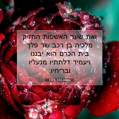 Picture 07 - נחמיה 3:14 HEB - ואת שער האשפות החזיק מלכיה - Bible Verse Picture