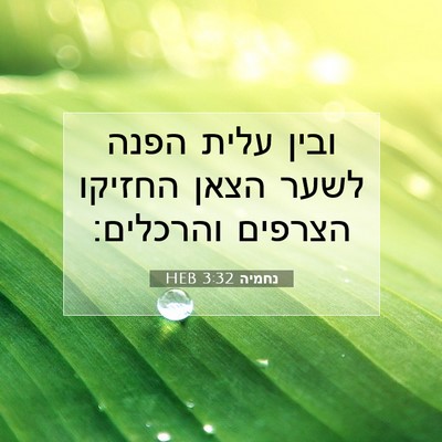 Picture 07 - נחמיה 3:32 HEB - ובין עלית הפנה לשער הצאן - Bible Verse Picture