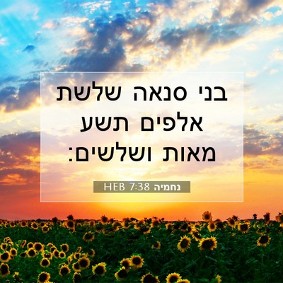 Picture 07 - נחמיה 7:38 HEB - בני סנאה שלשת אלפים תשע - Bible Verse Picture