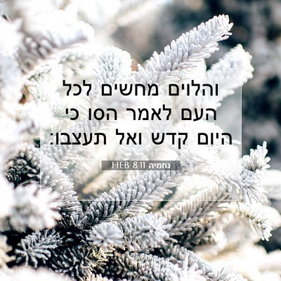 Picture 07 - נחמיה 8:11 HEB - והלוים מחשים לכל העם לאמר - Bible Verse Picture