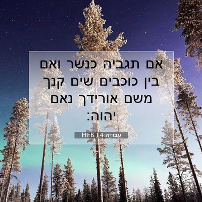 Picture 07 - עבדיה 1:4 HEB - אם תגביה כנשר ואם בין - Bible Verse Picture