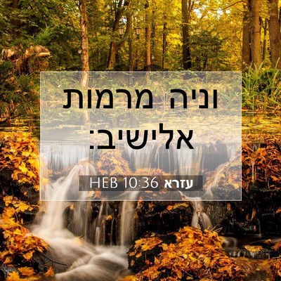 Picture 07 - עזרא 10:36 HEB - וניה מרמות - Bible Verse Picture