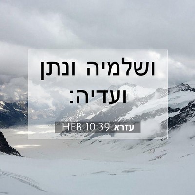 Picture 07 - עזרא 10:39 HEB - ושלמיה ונתן - Bible Verse Picture