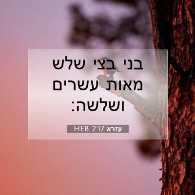 Picture 07 - עזרא 2:17 HEB - בני בצי שלש מאות עשרים - Bible Verse Picture