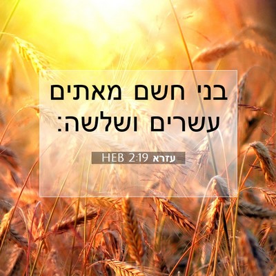 Picture 07 - עזרא 2:19 HEB - בני חשם מאתים עשרים - Bible Verse Picture