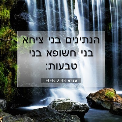Picture 07 - עזרא 2:43 HEB - הנתינים בני ציחא בני חשופא - Bible Verse Picture