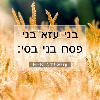 Picture 07 - עזרא 2:49 HEB - בני עזא בני פסח בני - Bible Verse Picture