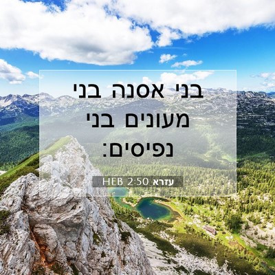 Picture 07 - עזרא 2:50 HEB - בני אסנה בני מעונים בני - Bible Verse Picture