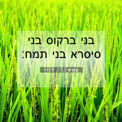 Picture 07 - עזרא 2:53 HEB - בני ברקוס בני סיסרא בני - Bible Verse Picture