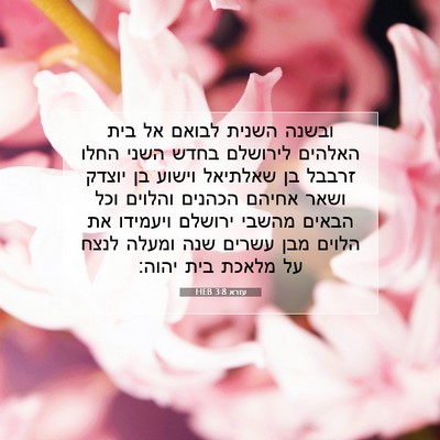 Picture 07 - עזרא 3:8 HEB - ובשנה השנית לבואם אל בית - Bible Verse Picture
