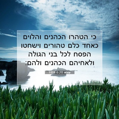 Picture 07 - עזרא 6:20 HEB - כי הטהרו הכהנים והלוים - Bible Verse Picture