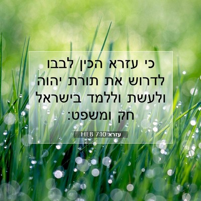 Picture 07 - עזרא 7:10 HEB - כי עזרא הכין לבבו לדרוש את - Bible Verse Picture