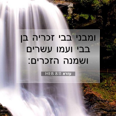 Picture 07 - עזרא 8:11 HEB - ומבני בבי זכריה בן בבי ועמו - Bible Verse Picture