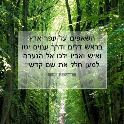 Picture 07 - עמוס 2:7 HEB - השאפים על עפר ארץ בראש דלים - Bible Verse Picture