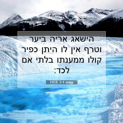 Picture 07 - עמוס 3:4 HEB - הישאג אריה ביער וטרף אין לו - Bible Verse Picture