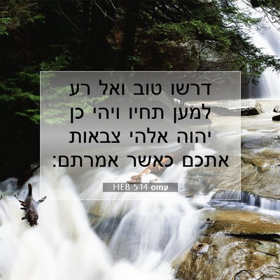 Picture 07 - עמוס 5:14 HEB - דרשו טוב ואל רע למען תחיו - Bible Verse Picture