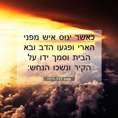 Picture 07 - עמוס 5:19 HEB - כאשר ינוס איש מפני הארי - Bible Verse Picture