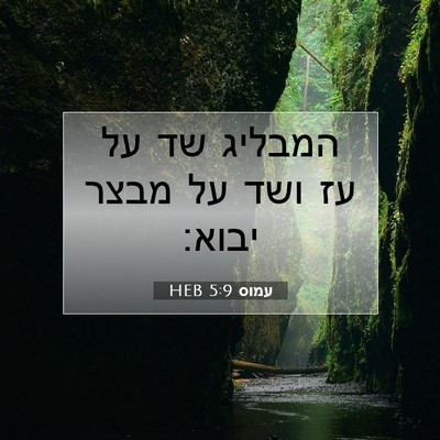 Picture 07 - עמוס 5:9 HEB - המבליג שד על עז ושד על מבצר - Bible Verse Picture