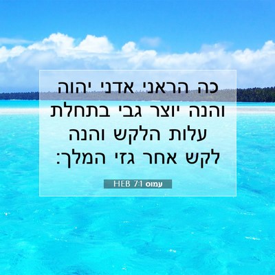 Picture 07 - עמוס 7:1 HEB - כה הראני אדני יהוה והנה - Bible Verse Picture
