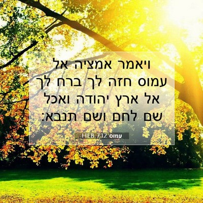 Picture 07 - עמוס 7:12 HEB - ויאמר אמציה אל עמוס חזה לך - Bible Verse Picture