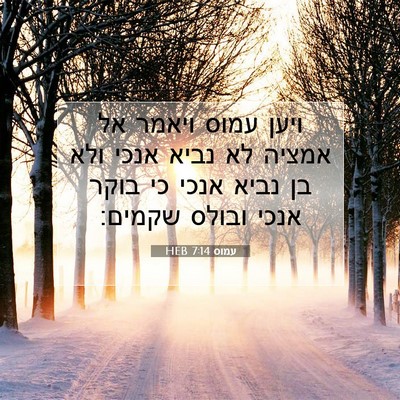 Picture 07 - עמוס 7:14 HEB - ויען עמוס ויאמר אל אמציה לא - Bible Verse Picture