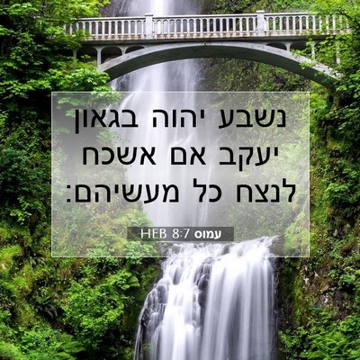 Picture 07 - עמוס 8:7 HEB - נשבע יהוה בגאון יעקב אם - Bible Verse Picture