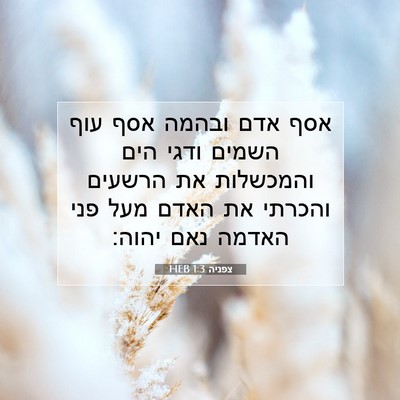 Picture 07 - צפניה 1:3 HEB - אסף אדם ובהמה אסף עוף השמים - Bible Verse Picture