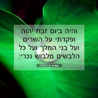 Picture 07 - צפניה 1:8 HEB - והיה ביום זבח יהוה ופקדתי - Bible Verse Picture
