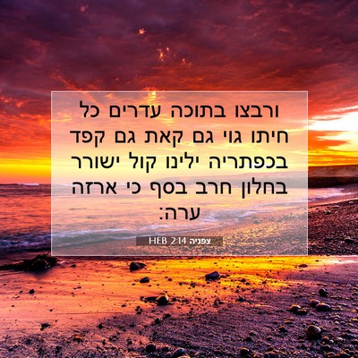 Picture 07 - צפניה 2:14 HEB - ורבצו בתוכה עדרים כל חיתו - Bible Verse Picture