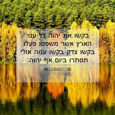 Picture 07 - צפניה 2:3 HEB - בקשו את יהוה כל ענוי הארץ - Bible Verse Picture