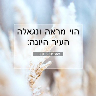 Picture 07 - צפניה 3:1 HEB - הוי מראה ונגאלה העיר - Bible Verse Picture