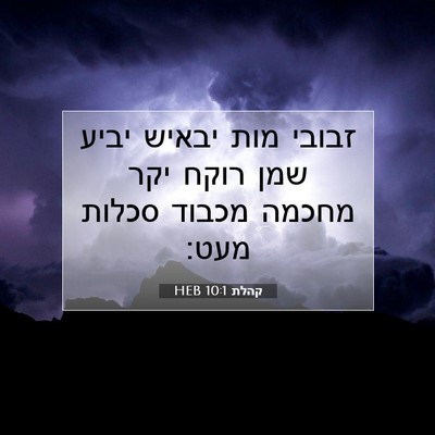 Picture 07 - קהלת 10:1 HEB - זבובי מות יבאיש יביע שמן - Bible Verse Picture