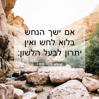 Picture 07 - קהלת 10:11 HEB - אם ישך הנחש בלוא לחש ואין - Bible Verse Picture