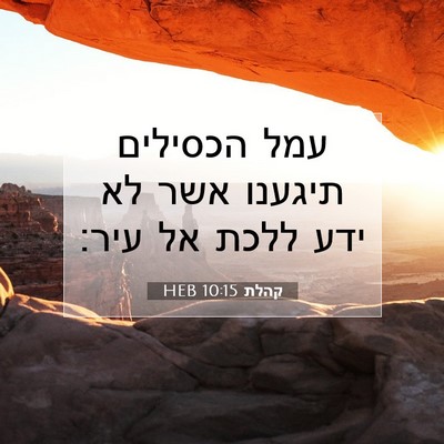 Picture 07 - קהלת 10:15 HEB - עמל הכסילים תיגענו אשר לא - Bible Verse Picture