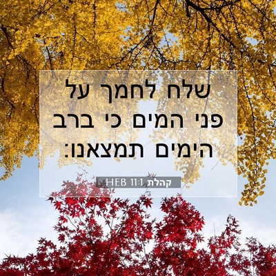 Picture 07 - קהלת 11:1 HEB - שלח לחמך על פני המים כי ברב - Bible Verse Picture