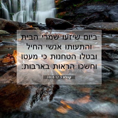 Picture 07 - קהלת 12:3 HEB - ביום שיזעו שמרי הבית - Bible Verse Picture