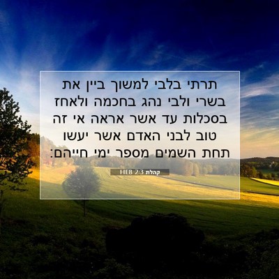 Picture 07 - קהלת 2:3 HEB - תרתי בלבי למשוך ביין את - Bible Verse Picture