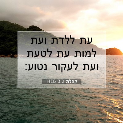 Picture 07 - קהלת 3:2 HEB - עת ללדת ועת למות עת לטעת - Bible Verse Picture